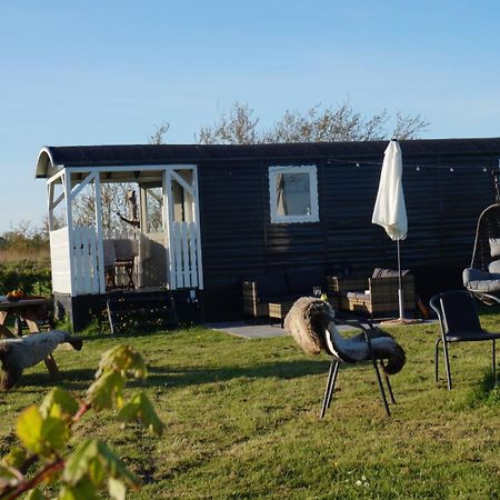 Bed And Breakfast Het Schapenlandje Waarland Экстерьер фото